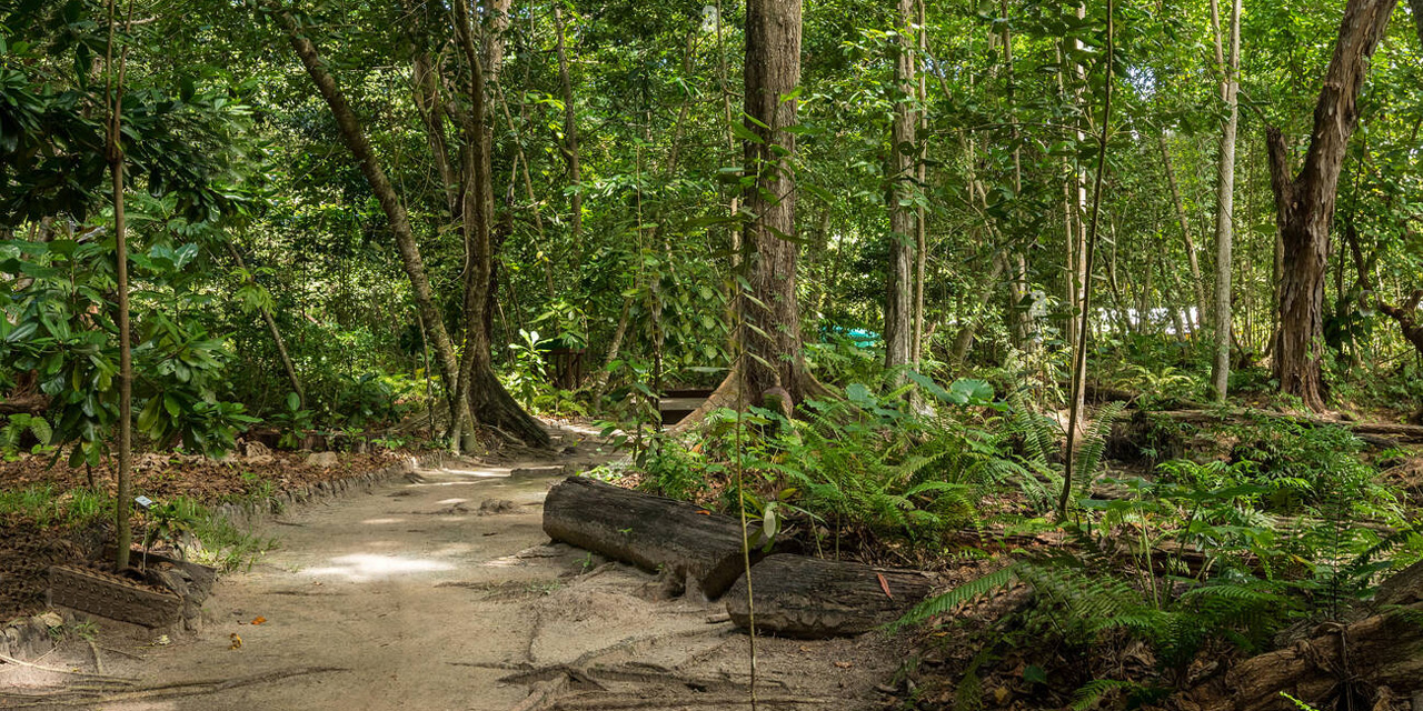 Réserve de la Veuve