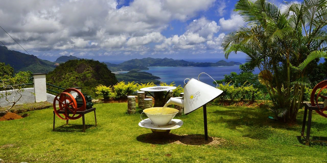 Seychelles Tea Factory